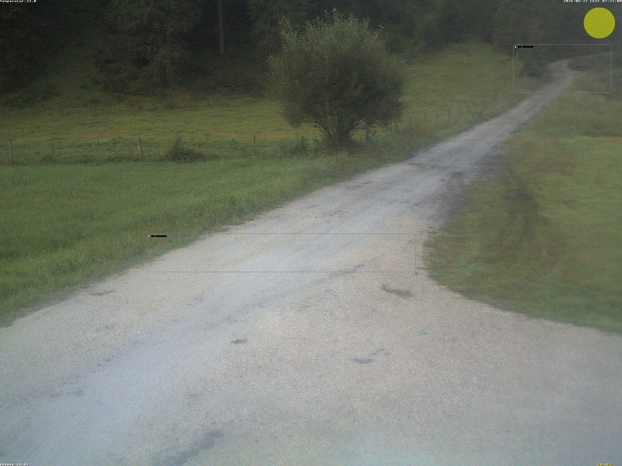 Camera Live Image